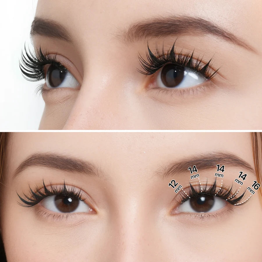 False Eyelash Extensions